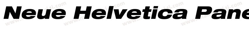 Neue Helvetica Paneuropean 93 Exten字体转换